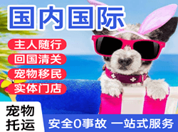 哈尔滨太平空运国际宠物托运 【国